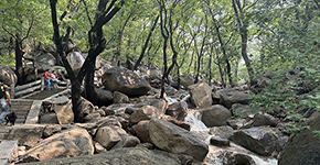 天津盘山景区、烈士林园二日游