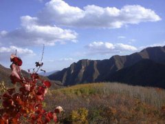 延庆松山森林公园乘车线路,松山森林公园自驾车图片