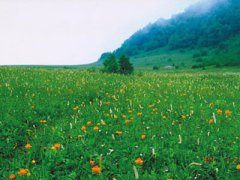 门头沟百花山乘车线路,百花山自驾车线路图图片