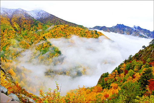 雾灵山门票多少钱